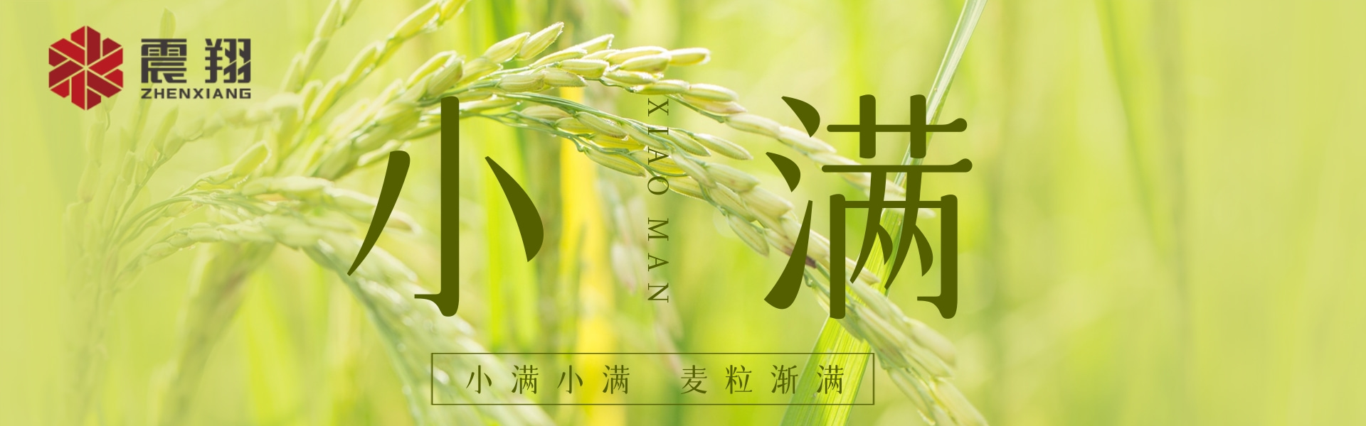 小滿|???????小滿小滿，江河漸滿。