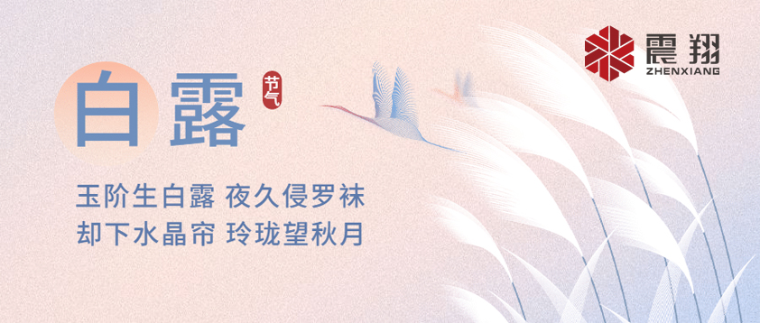 白露|露已凝，夜微涼